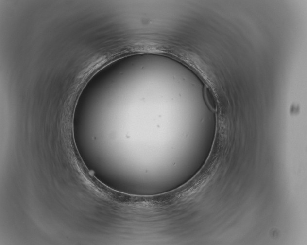 X0000097510433200802221510