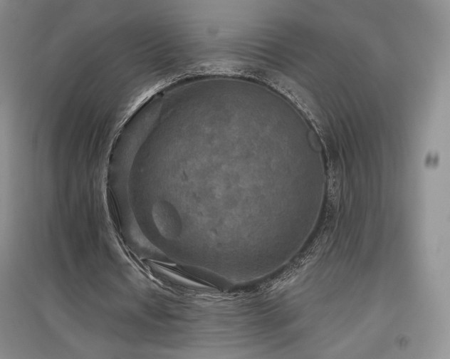 X0000097510434200802221510