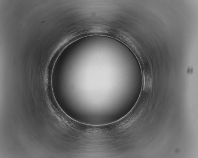 X0000097510435200802221510