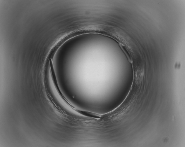 X0000097510436200802221510