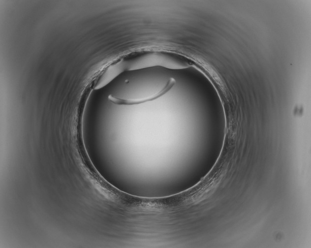 X0000097510437200802221510