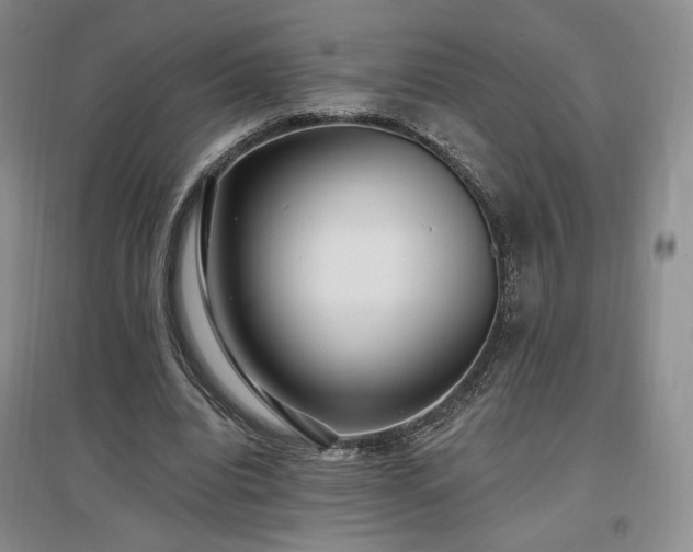X0000097510440200802221510