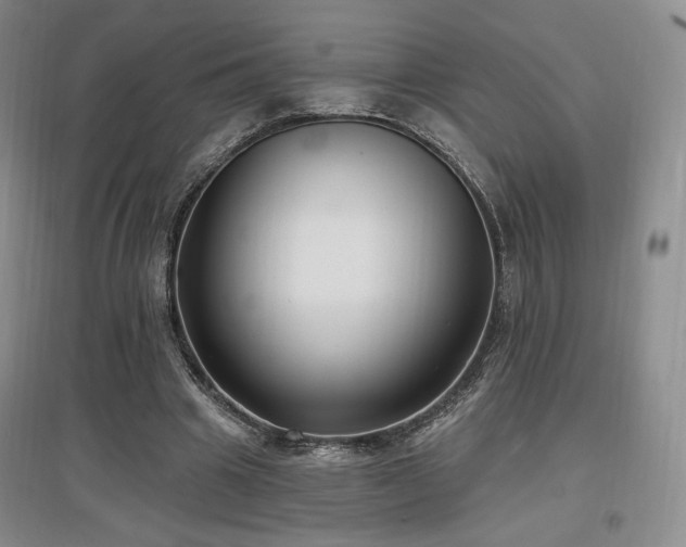 X0000097510441200802221510