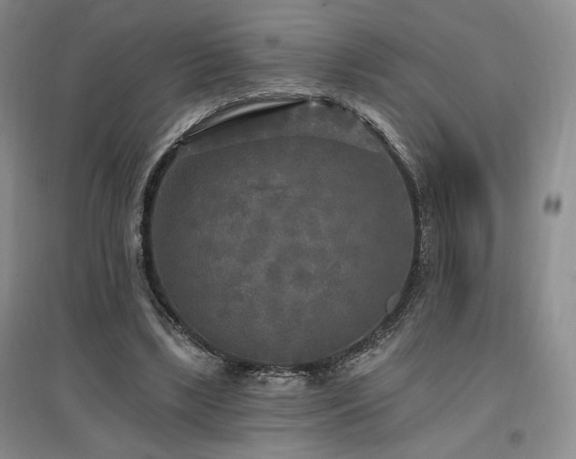 X0000097510443200802221510