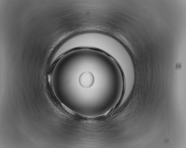 X0000097510444200802221510