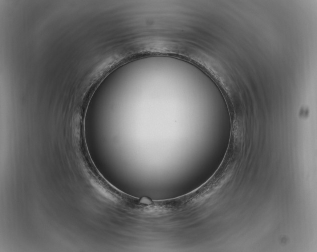 X0000097510445200802221510