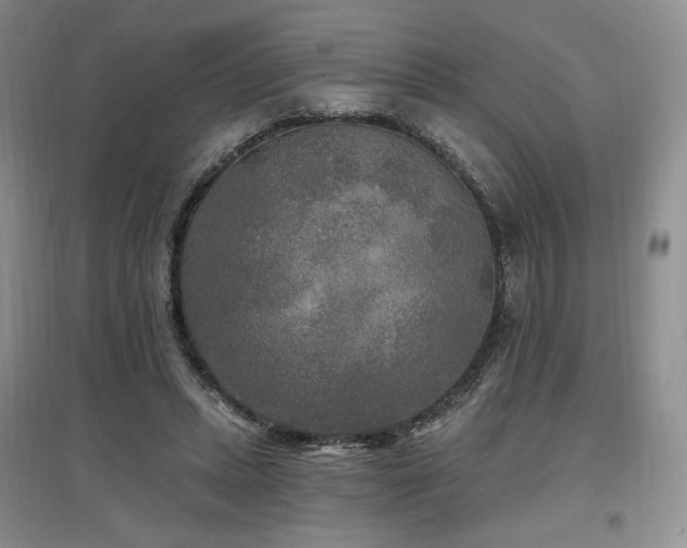 X0000097510447200802221510