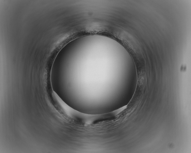 X0000097510448200802221511