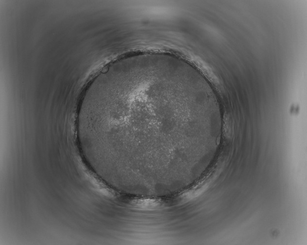 X0000097510449200802221511