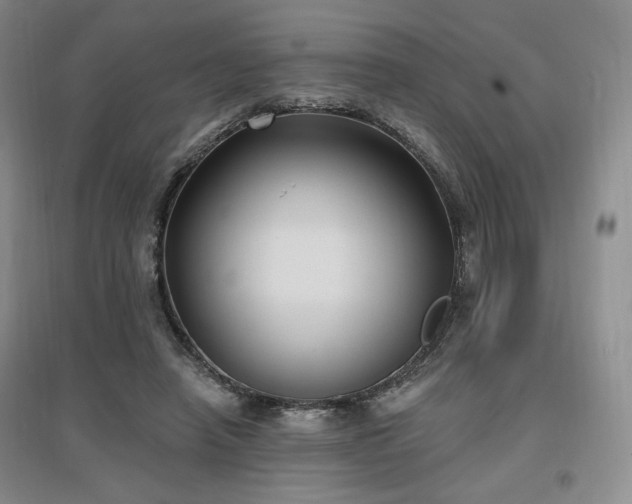 X0000097510450200802221511