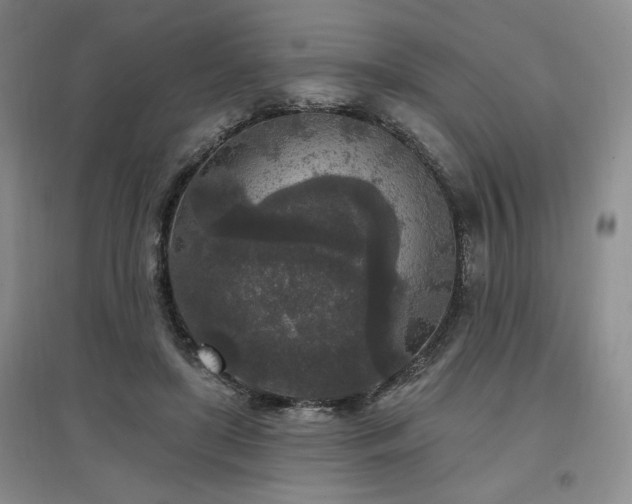 X0000097510451200802221511