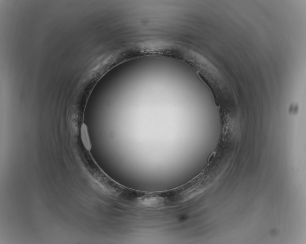 X0000097510452200802221511