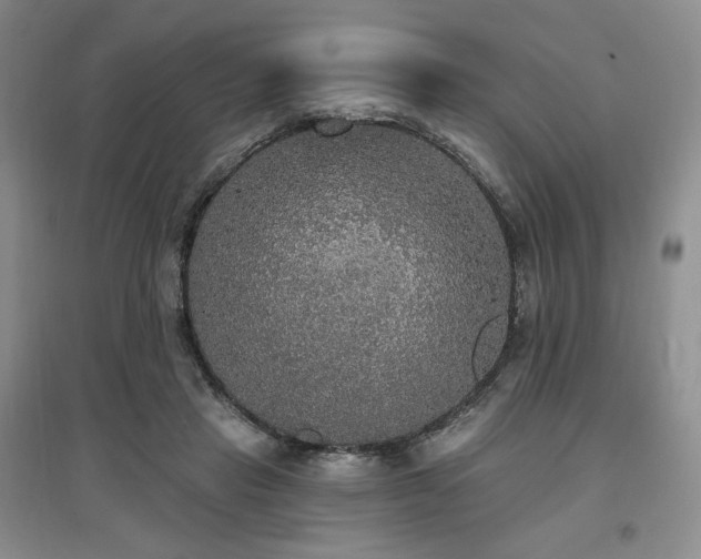 X0000097510453200802221511