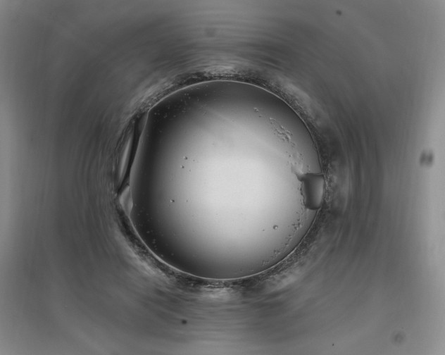 X0000097510454200802221511