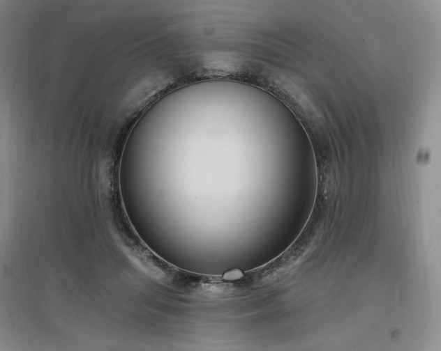 X0000097510455200802221511