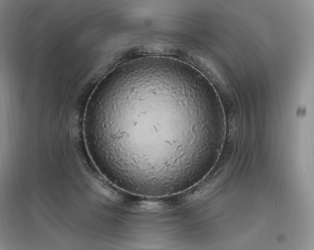 X0000097510457200802221511