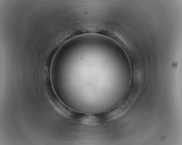 X0000097510459200802221511