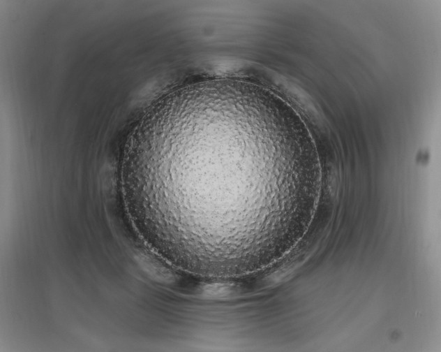 X0000097510461200802221511