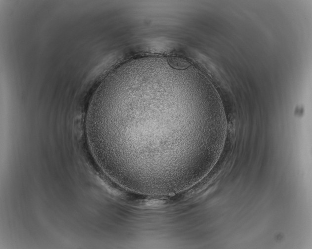 X0000097510462200802221511