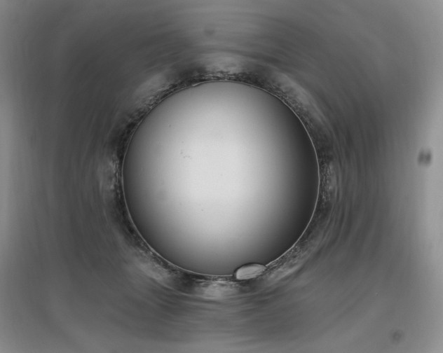 X0000097510463200802221511