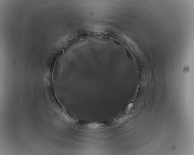 X0000097510465200802221511