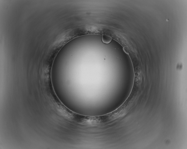 X0000097510466200802221511