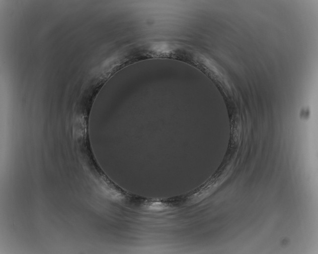X0000097510467200802221511