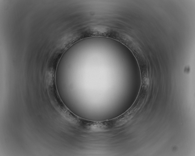 X0000097510468200802221511
