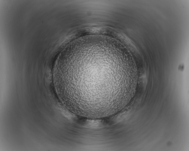 X0000097510469200802221511