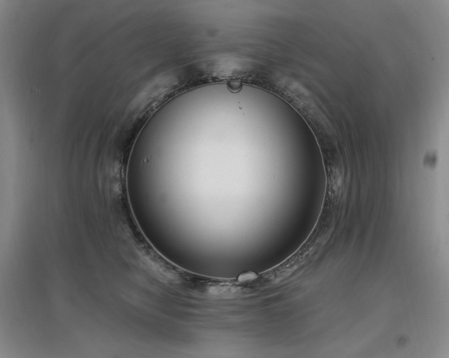 X0000097510470200802221511