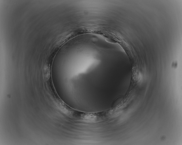 X0000097510471200802221511
