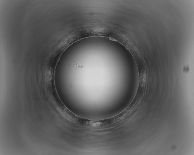 X0000097510472200802221511