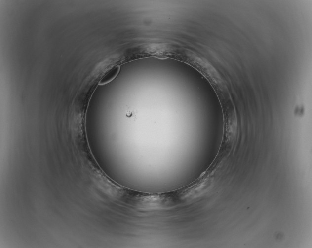X0000097510473200802221511