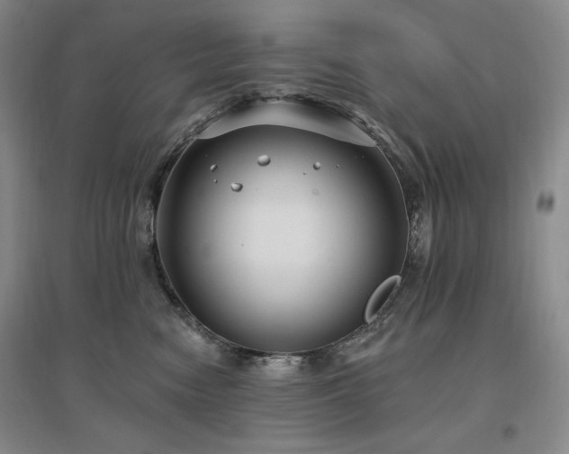 X0000097510474200802221511
