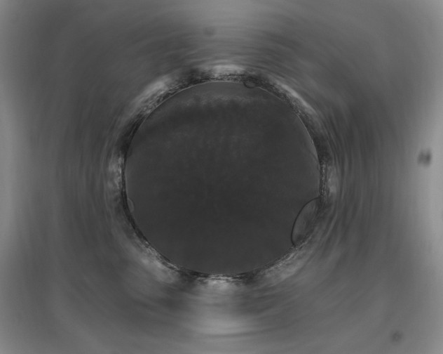 X0000097510475200802221511