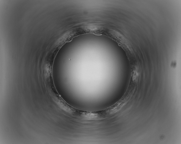 X0000097510476200802221511