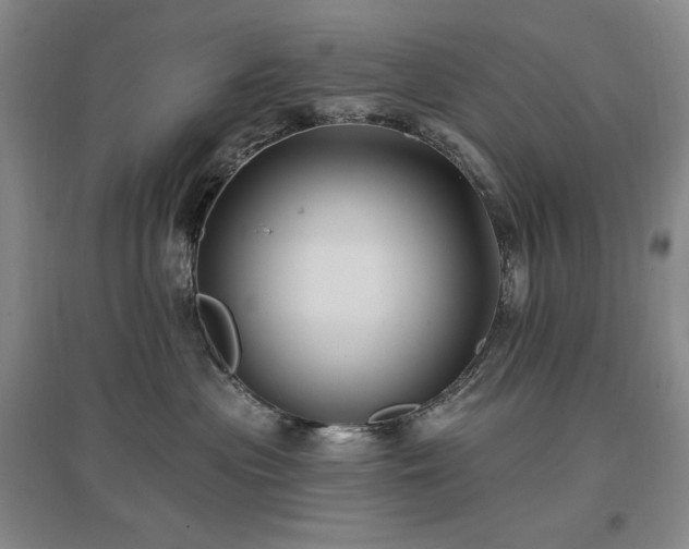 X0000097510477200802221511