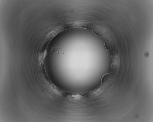 X0000097510478200802221511