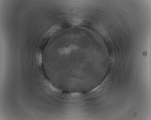 X0000097510479200802221511