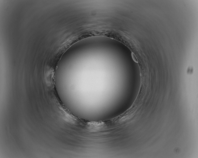 X0000097510480200802221511