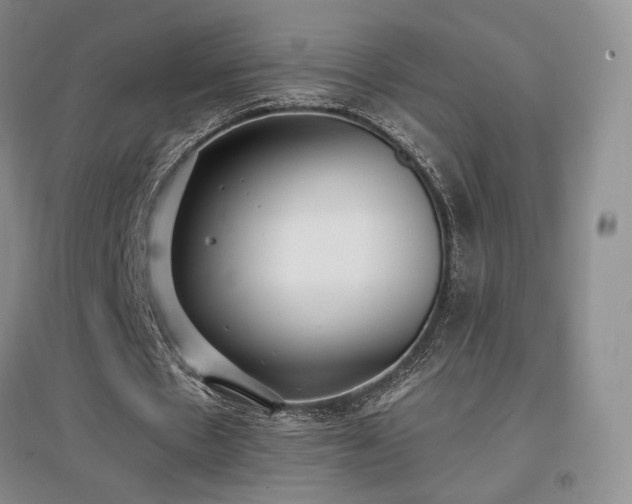 X0000097510481200802221510