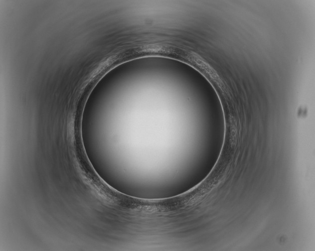 X0000097510482200802221510