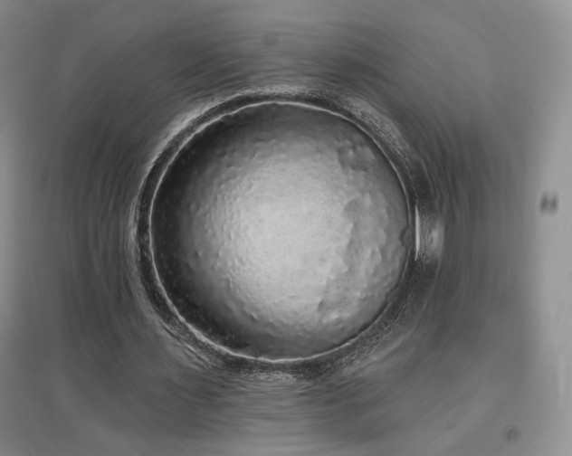 X0000097510483200802221510