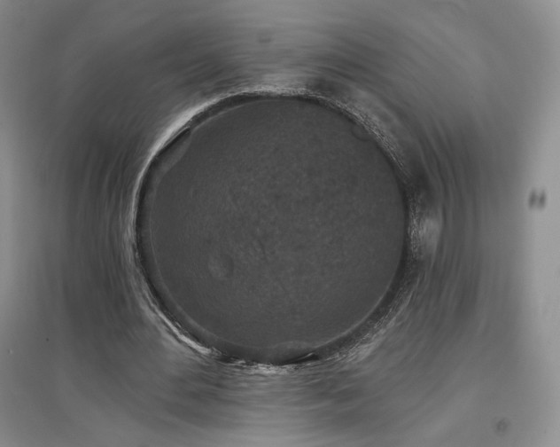 X0000097510484200802221510