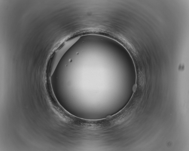 X0000097510486200802221510