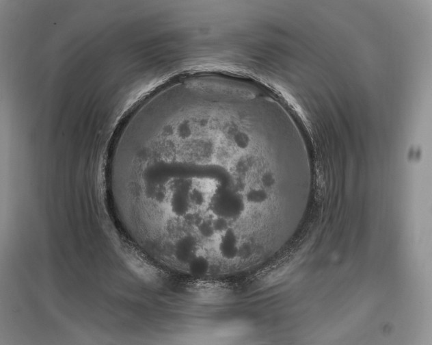 X0000097510487200802221510
