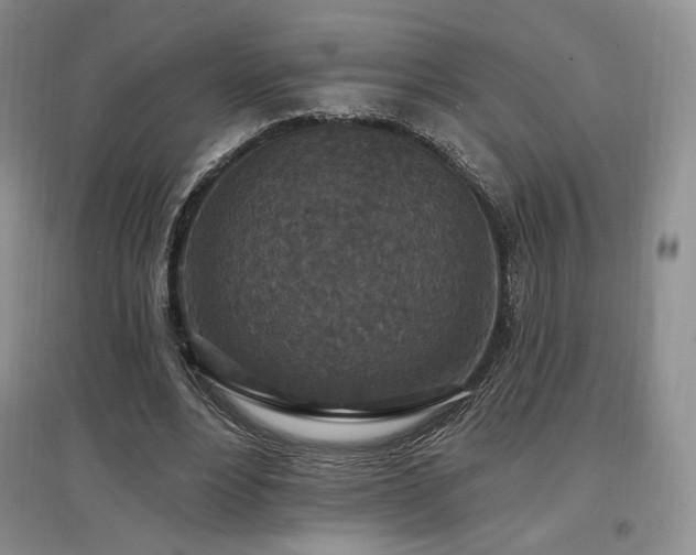 X0000097510488200802221510