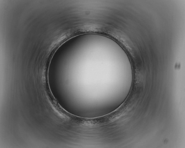 X0000097510489200802221510