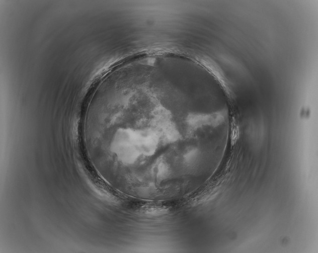 X0000097510491200802221510