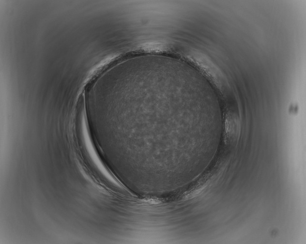 X0000097510492200802221510